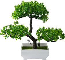 Bonsai Finto Realistico, 18X27