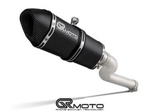 Scarico per BMW F 900 F900 R