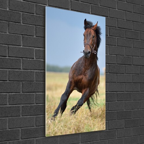Quadro stampa artistica - stampa,