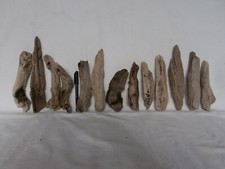Legno di mare figura corpo