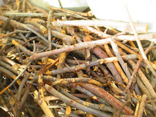 LEGNA da ARDERE - rami, torsoli di pigna, biomassa X Stufe, Camini, Caldaie Bio.