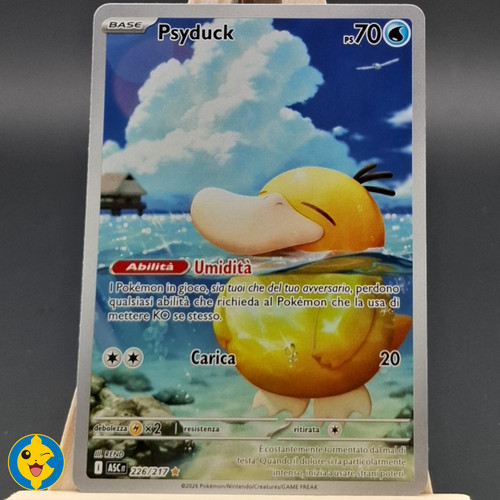 Psyduck 226 217 asc pokemon - asc,
