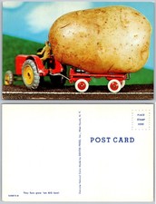 Cartolina trattore patate gigante