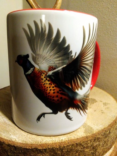 Tazza tiro fagiano caccia - , cane