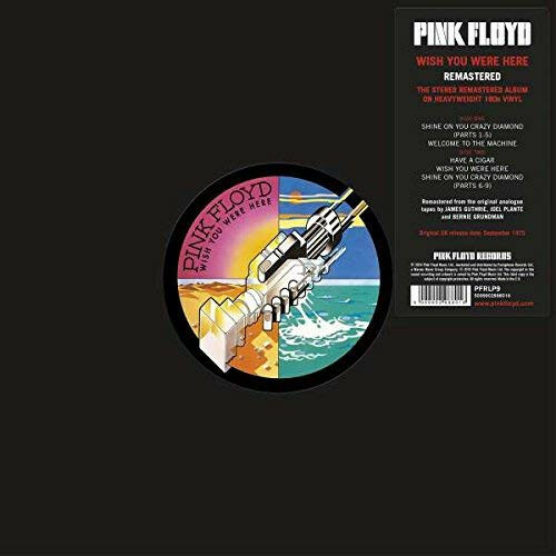 Pink floyd wish you were - ,
