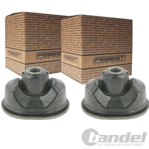 Cuscinetti cupola febest - cuscinetti,