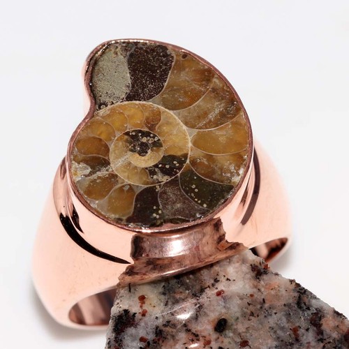 Anello fossile ammonite uomo