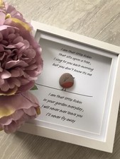 Robin Framed pebble Picture