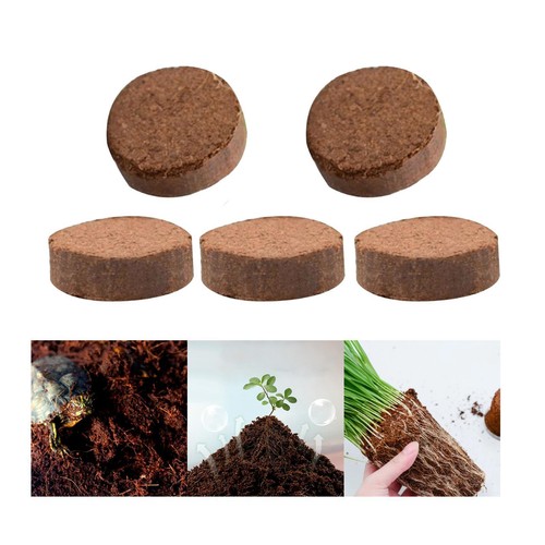 5pcs terreno cocco - 5pcs,