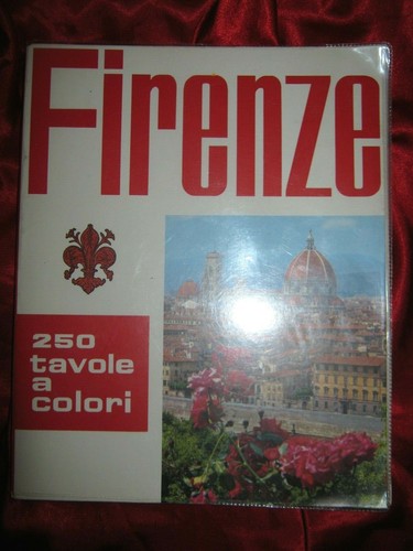 Guida turistica firenze - guida,