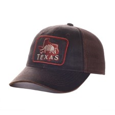 Texas armadillo trucker - trucker, hat