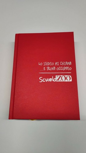 Vecchia edizione diario scuola - vecchia,