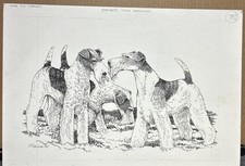 Wire Fox Terrier penna e inchiostro originale di Martha Van Loan 15x22