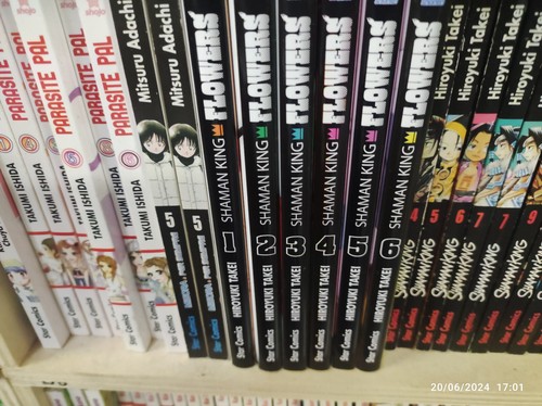 Shaman king flowers completa - king,