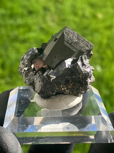 Magnetite xlc rara abitudine