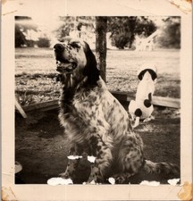 Foto istantanea vintage anni