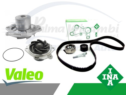 Kit distribuzione ina pompa - ina, +