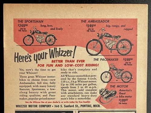 1951 ecco tuo - il,