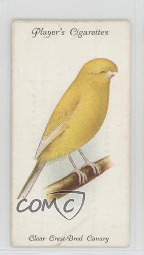 1933 giocatore aviaria - 1933,