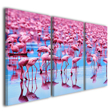 Quadro animali Flamingos