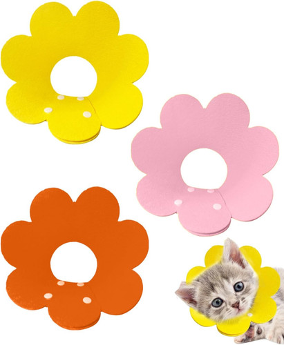 Collare elisabettiano gatto - collare,