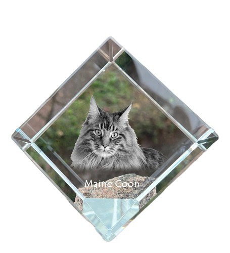 Gioielli maine coon - gioielli, ciondolo