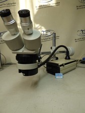 Microscopio stereo zoom