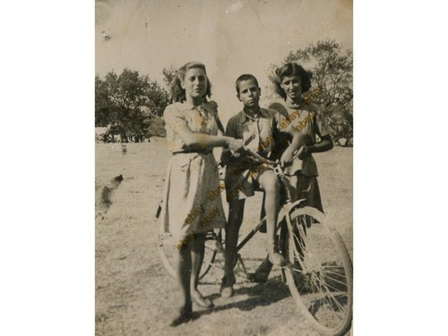 64341 grecia 8 1943 - grecia, 15.8.1943