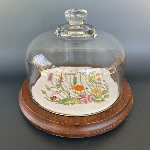 Cupola cloche vintage - in, vetro