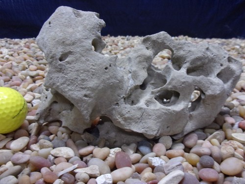 Texas holey rock - 02#, texas/tn