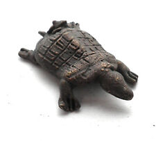 ANTICA TARTARUGA AFRICANA