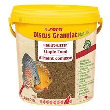 Sera pesci ornamentali discus