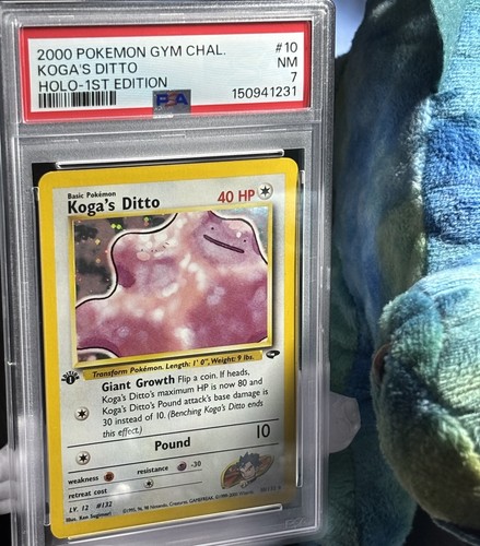 Koga ditto holo 1st ed - ditto, gym