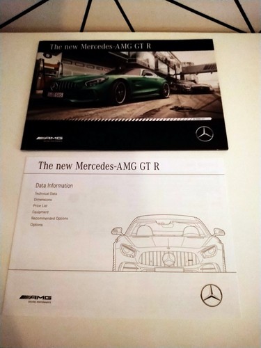 Mercedes benz amg gtr - mercedes-benz, r
