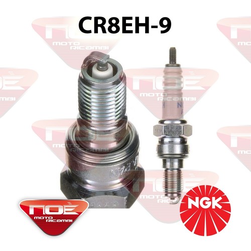 Candela avviamento ngk cr8eh - candela, cr8eh-9