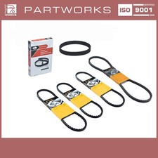 Kit cinghia per alternatore - kit,