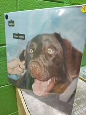 Lp CANOVA VIVI PER SEMPRE