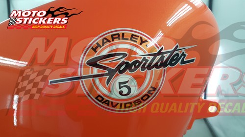 Harley davidson 883 sportster - harley,