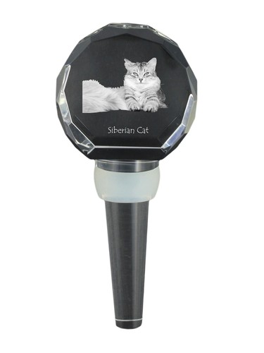 Gatto siberiano tappo - gatto,