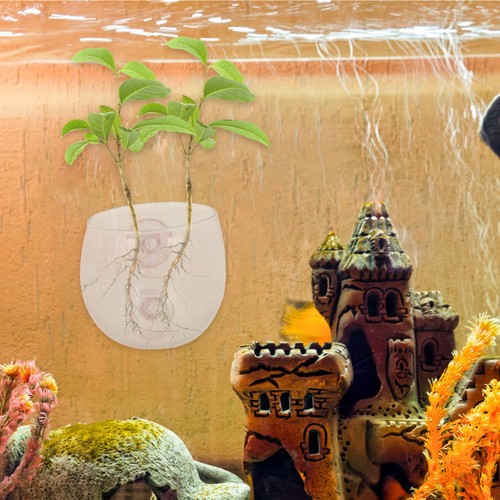 Accessori acquario decorazione - acquario,
