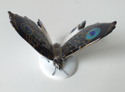 Farfalla porcellana ens - farfalla,
