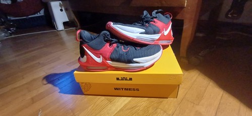 Lebron witness vii - lebron,