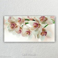 Orchidea Rosa Zen 2 Quadro