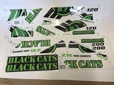 Kit Grafica Arctic Cat