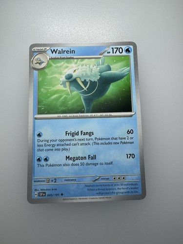 Walrein 191 pokemon sv - pokemon,
