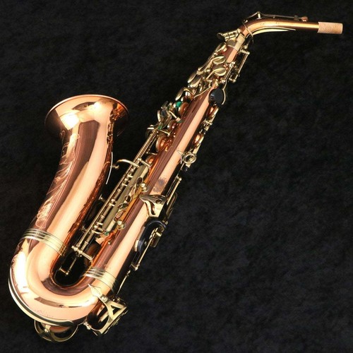 Buffet crampon alto - alto, s1
