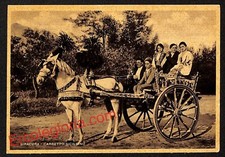 ai6586 - CARTOLINA D' EPOCA - Siragusa Città - Carretto Siciliano