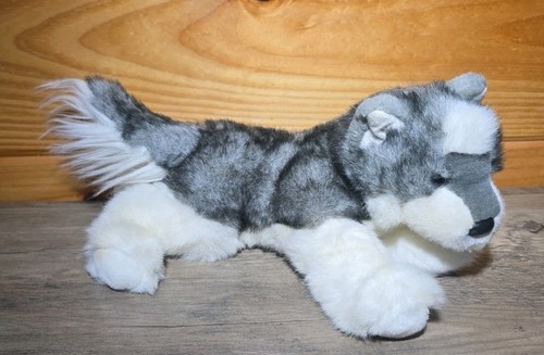 Peluche sasha siberian - 10",