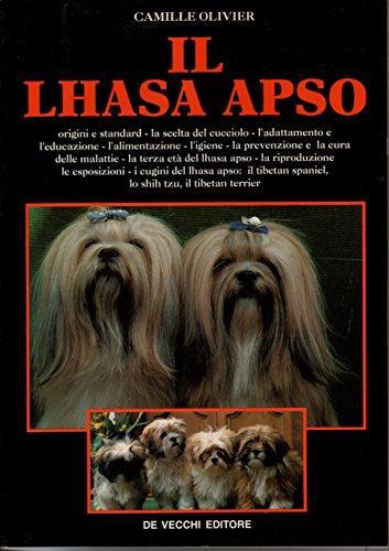 Lhasa apso - lhasa,