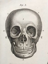 Scheletro umano-stampa originale 1842 